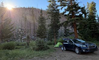 SG H.'s photo of a dispersed camping area at Camping Near Chambers on Laramie River near Cowdrey, CO
