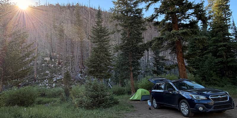 Camper submitted image from Camping Near Chambers on Laramie River