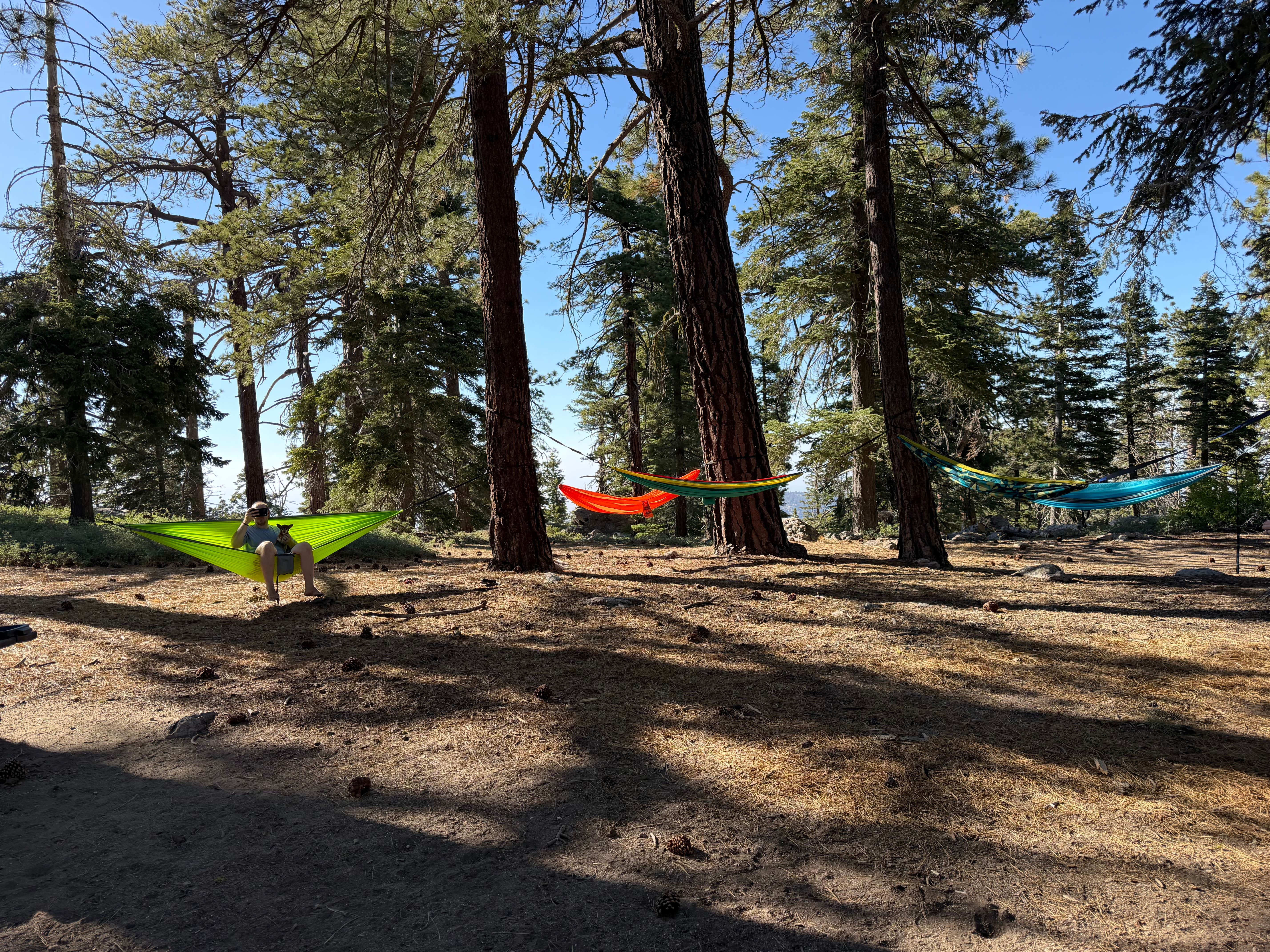 Camping near Campo Alto Campground: Campo Alto Group Campground, Pine Mountain Club, California