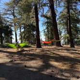 Review photo of Campo Alto Group Campground by Kelly C., June 16, 2026
