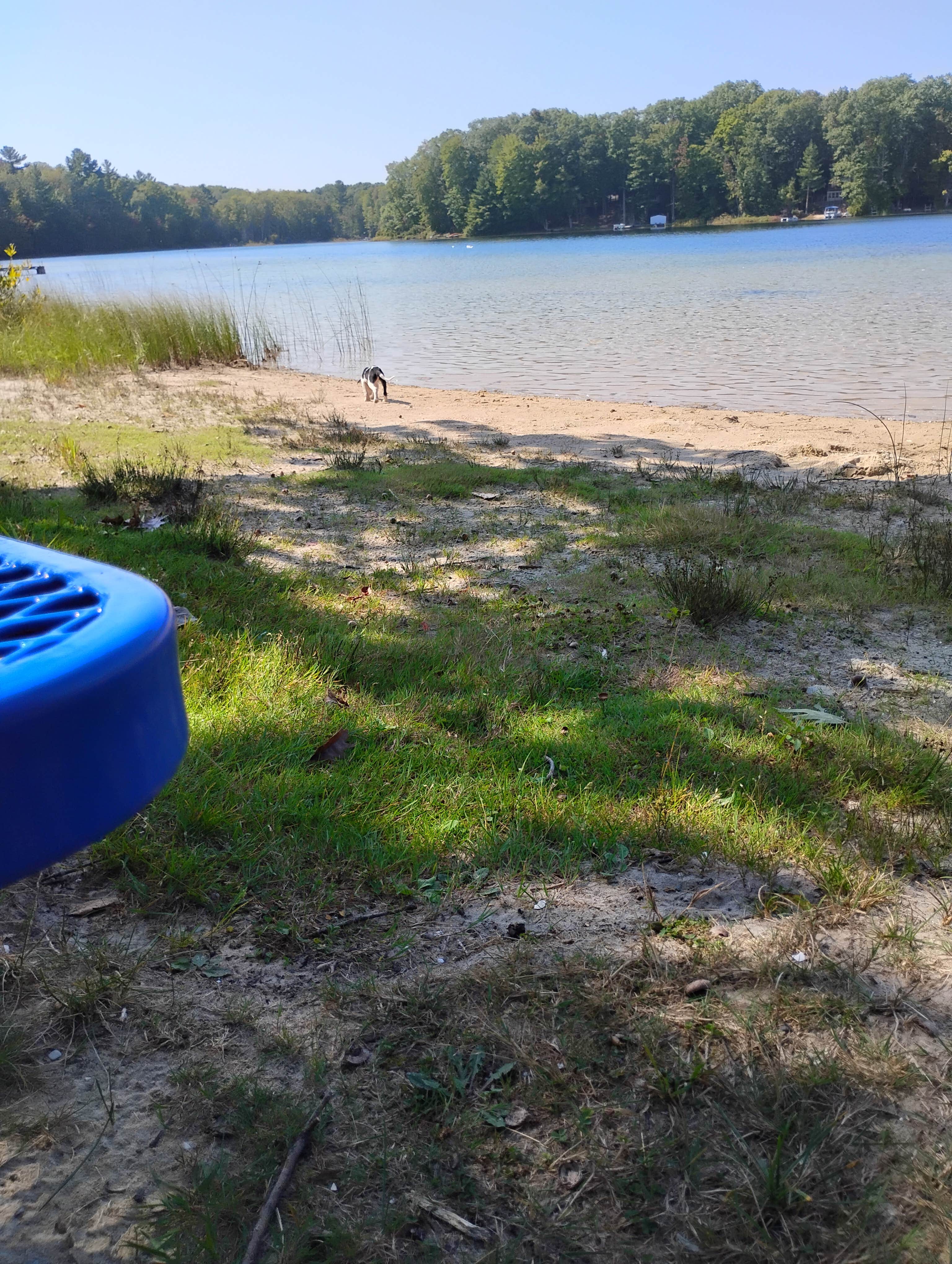 Camper submitted image from Campside Michigan - 4
