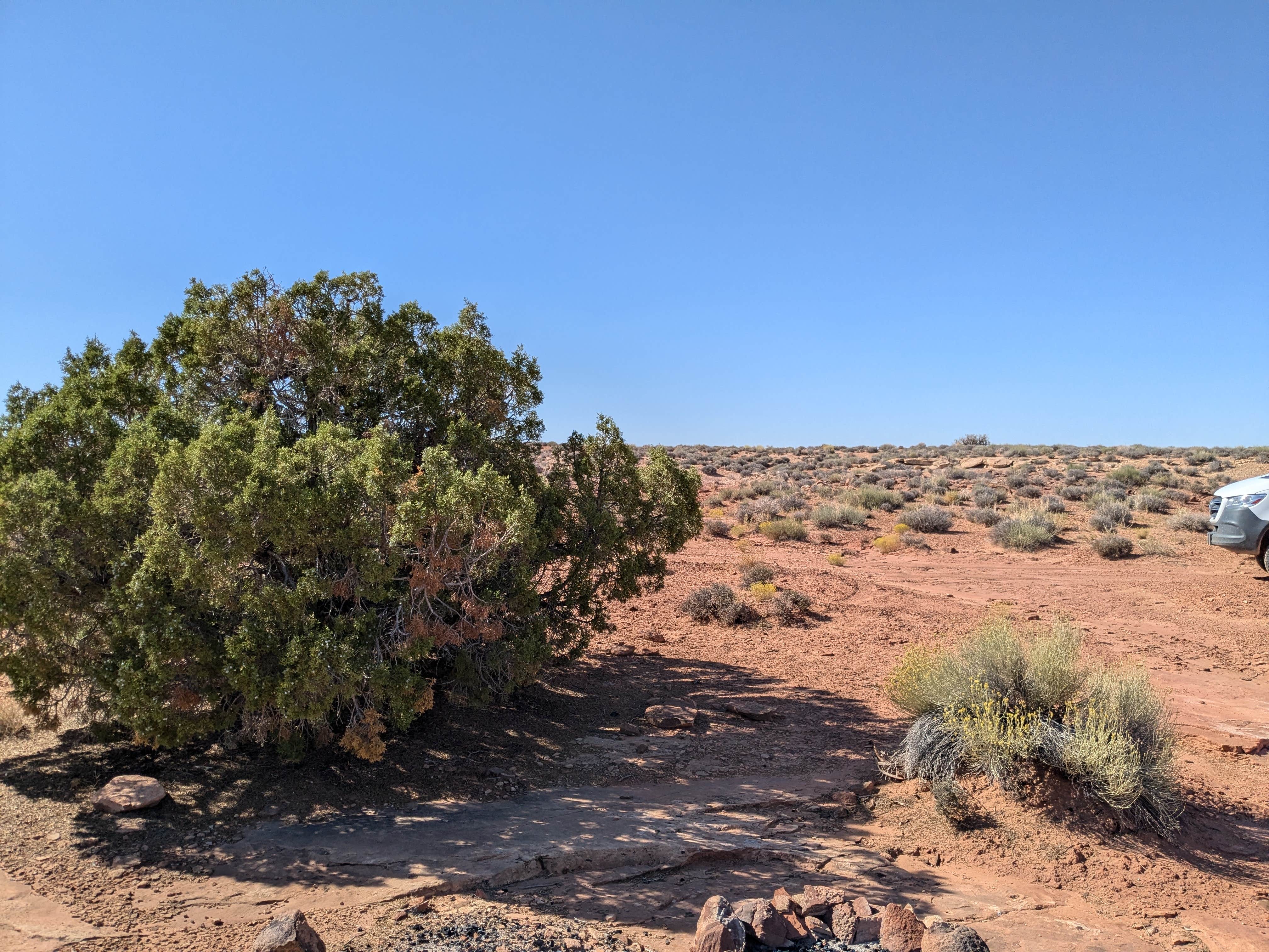 Camper-submitted photo at Burr Road Dispersed Camp - Two-Wheel Drive Access near Capitol Reef National Park