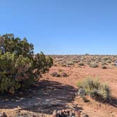 Review photo of campsite off Burr Road, two-wheel drive access by DL M., September 13, 2024