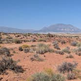 Review photo of Burr Road Dispersed Camp - Two-Wheel Drive Access by DL M., September 13, 2024