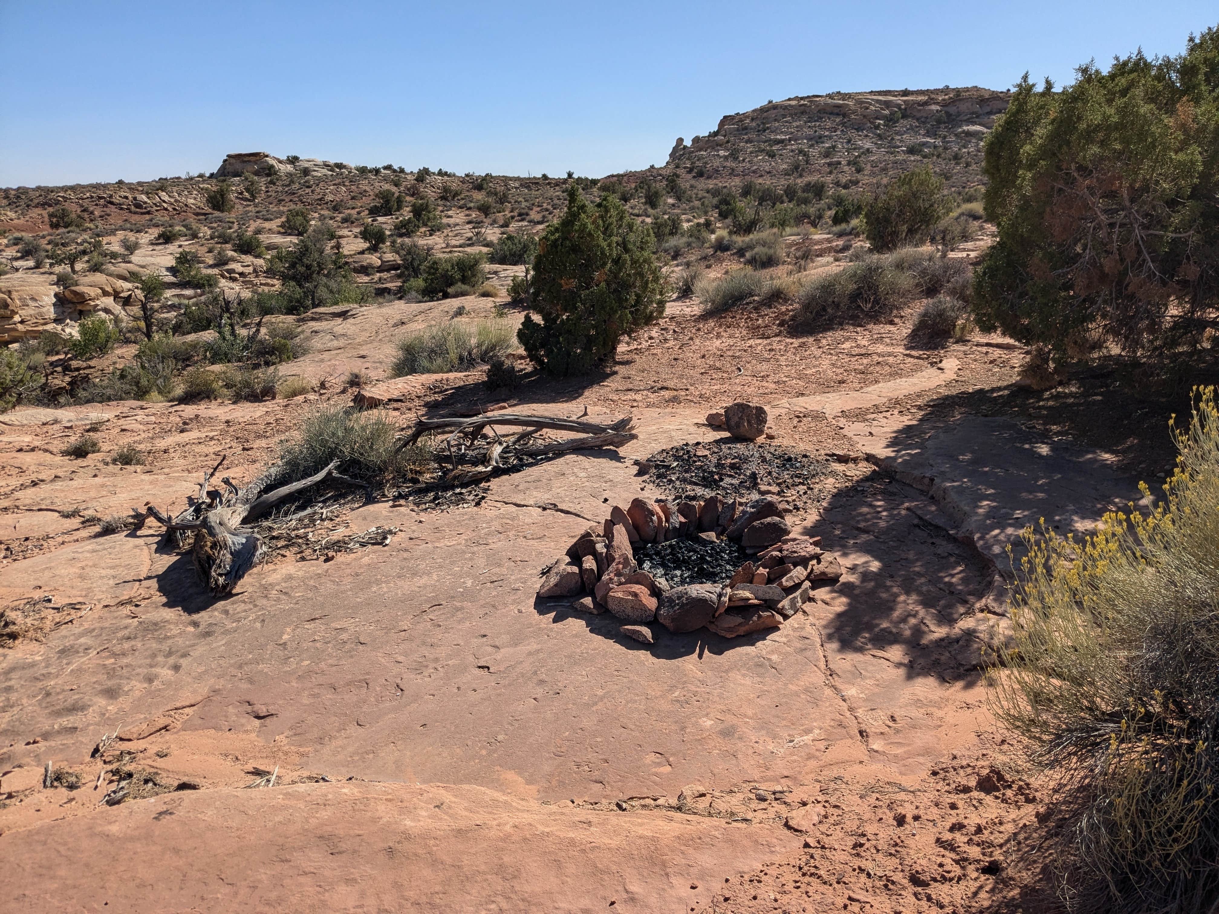 Camper submitted image from campsite off Burr Road, two-wheel drive access - 2