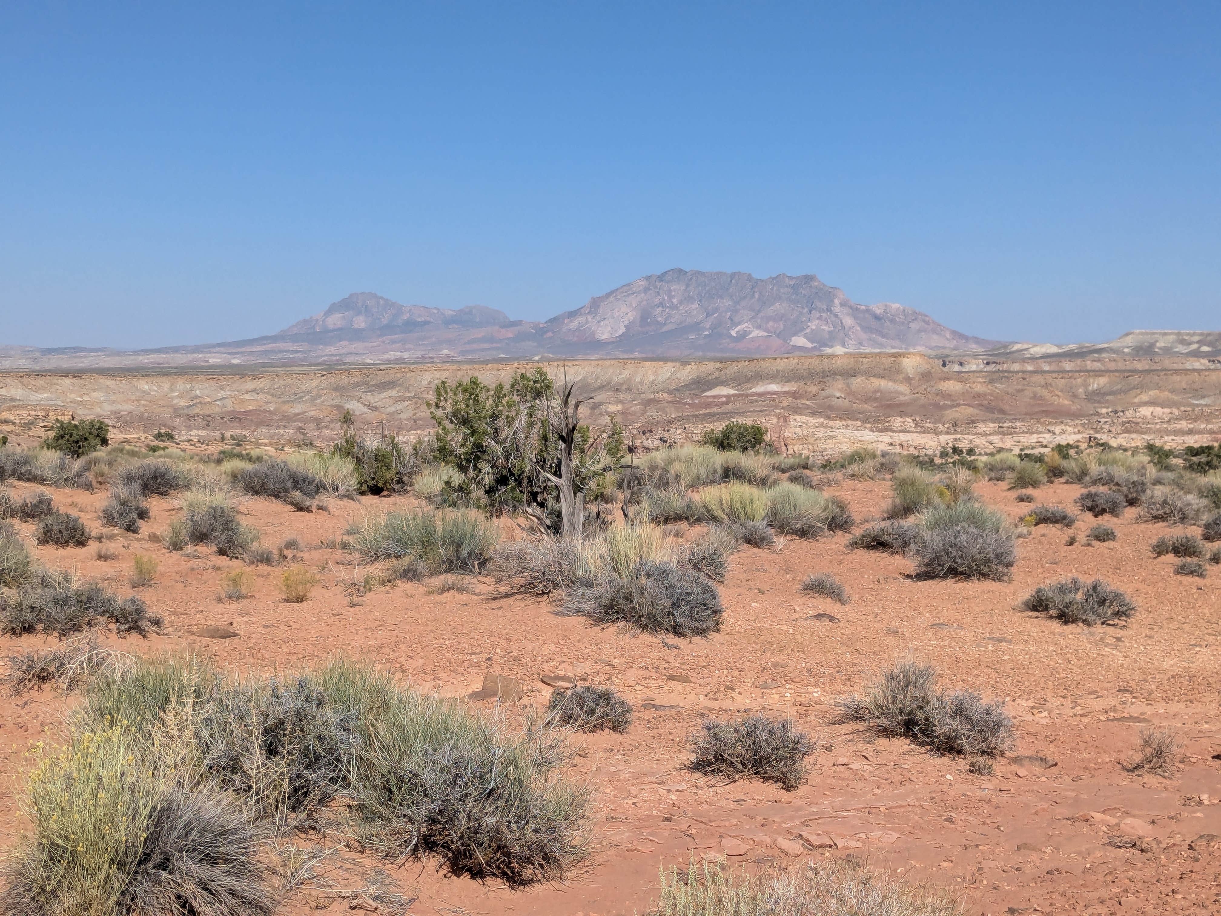 Camping near Halls Creek Outlook: Burr Road Dispersed Camp - Two-Wheel Drive Access, Eggnog, Utah