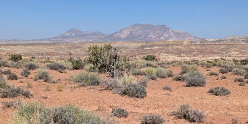 Camper submitted image from Burr Road Dispersed Camp - Two-Wheel Drive Access