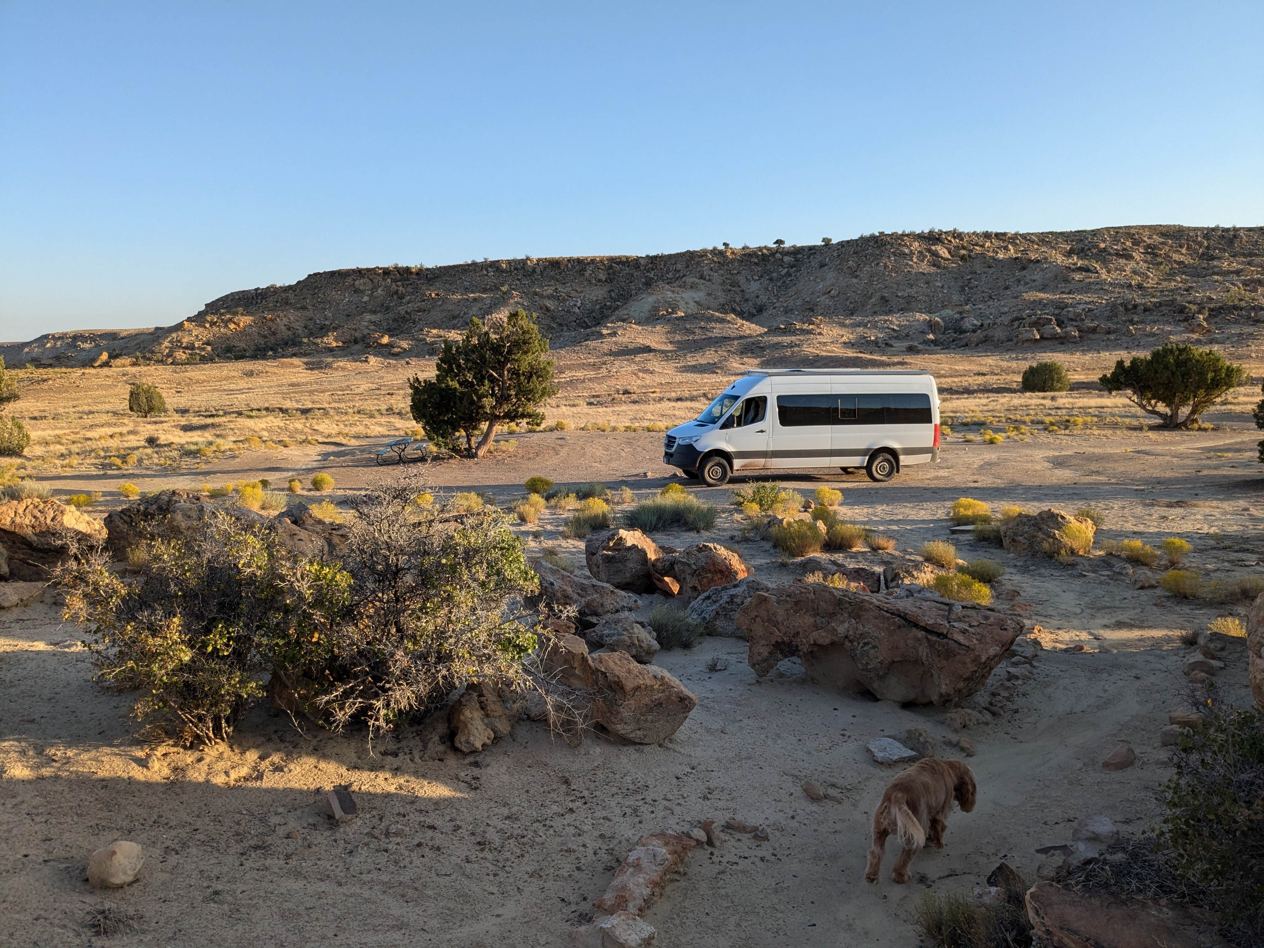 Camper submitted image from campsite with two picnic tables and the shelter of a couple trees - 2