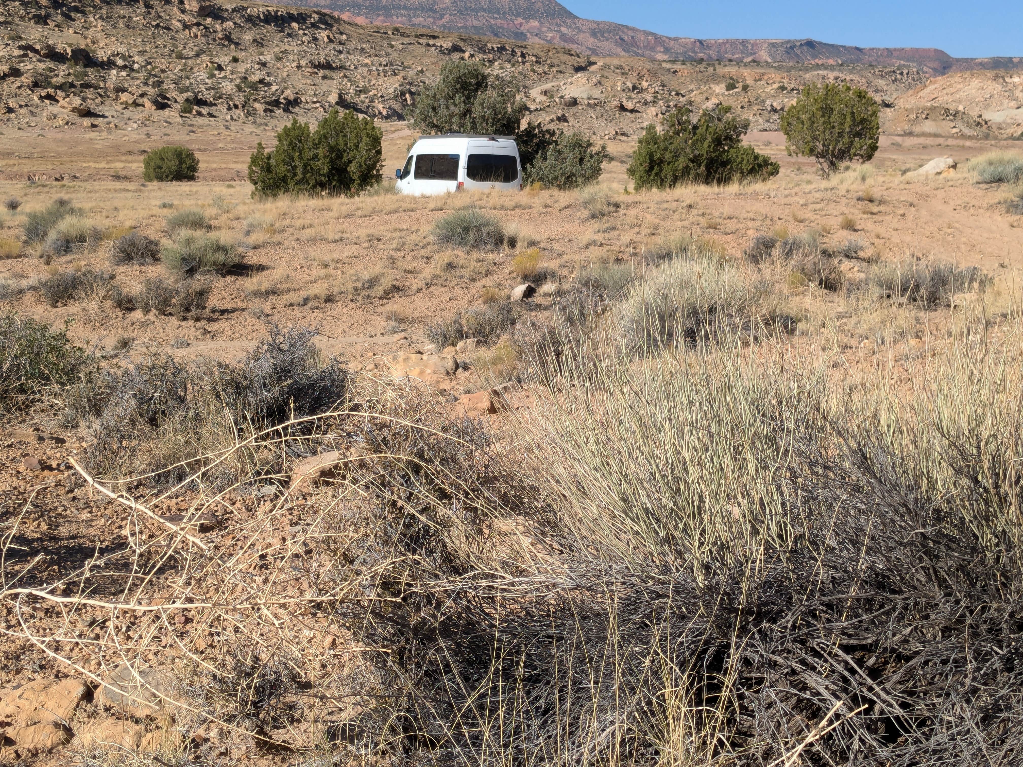 Camper submitted image from campsite with two picnic tables and the shelter of a couple trees - 1