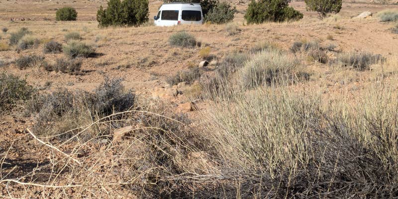 Camper submitted image from Burr Trail Rd Dispersed Site