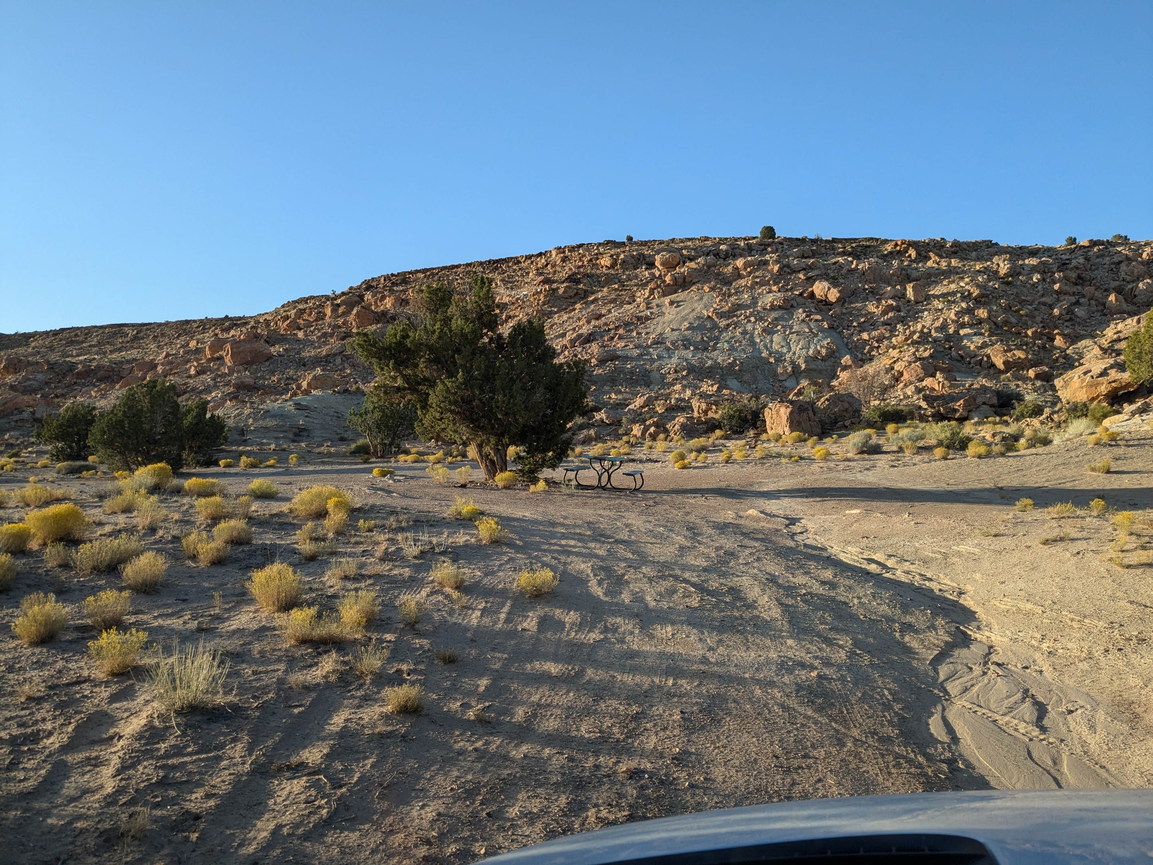 Camper submitted image from Dispersed Campsite with two picnic tables and trees - 4