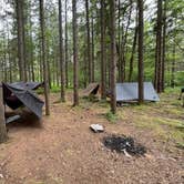 Review photo of Canaan Loop Road Dispersed by Michael H., June 24, 2024