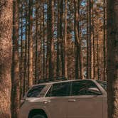 Review photo of Canaan Loop Road Dispersed by Emily T., April 7, 2026