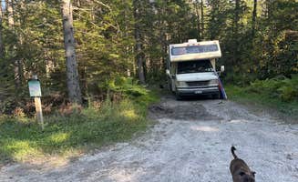 Justine I.'s photo of camping with pets at Canaan Loop Road Dispersed near Jennings Randolph Lake
