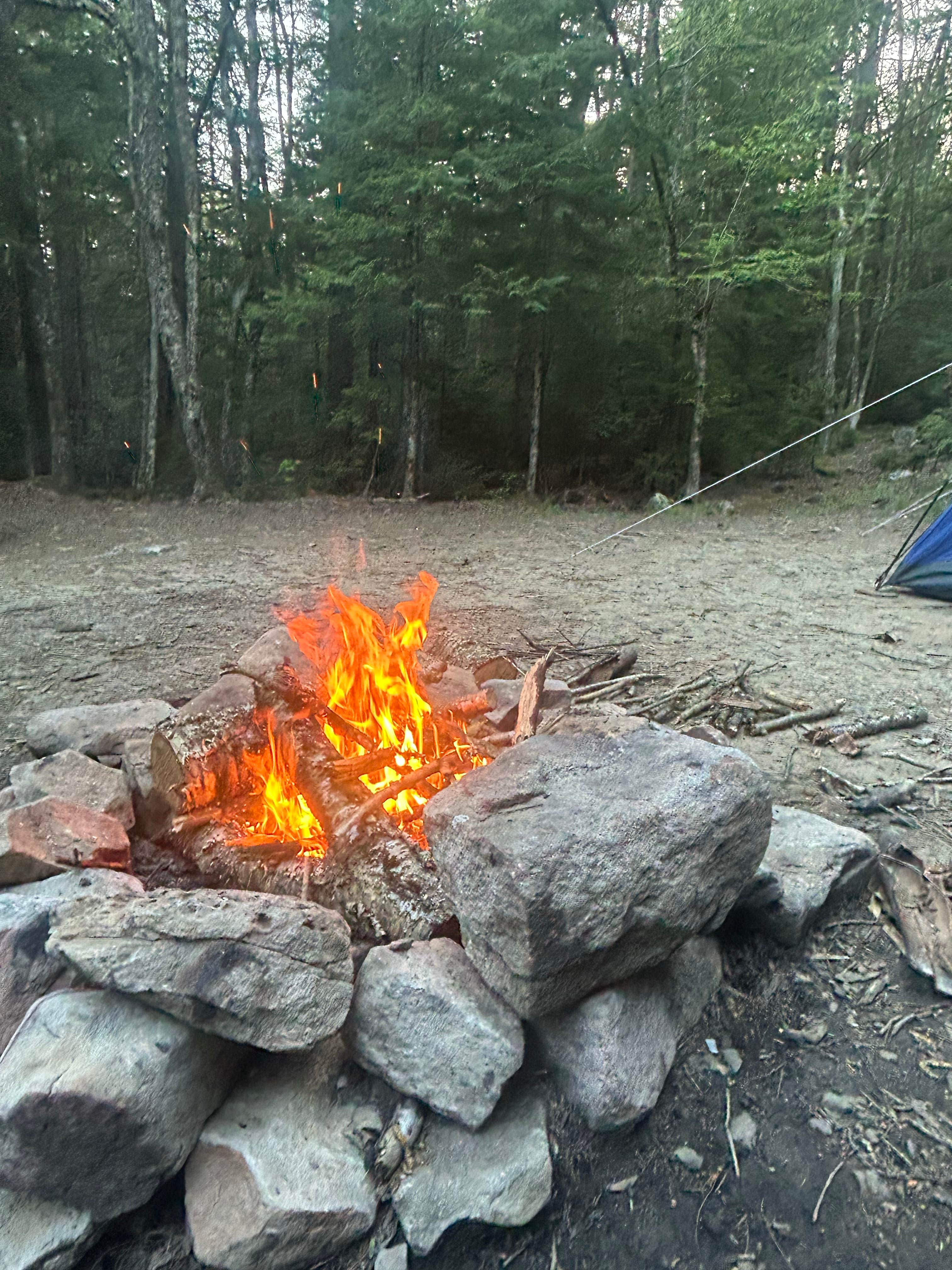 Camper-submitted photo at Canaan Loop Road Dispersed near Masontown, WV