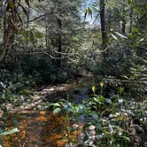 Review photo of Canaan Loop Road Dispersed by Lillian R., June 16, 2025