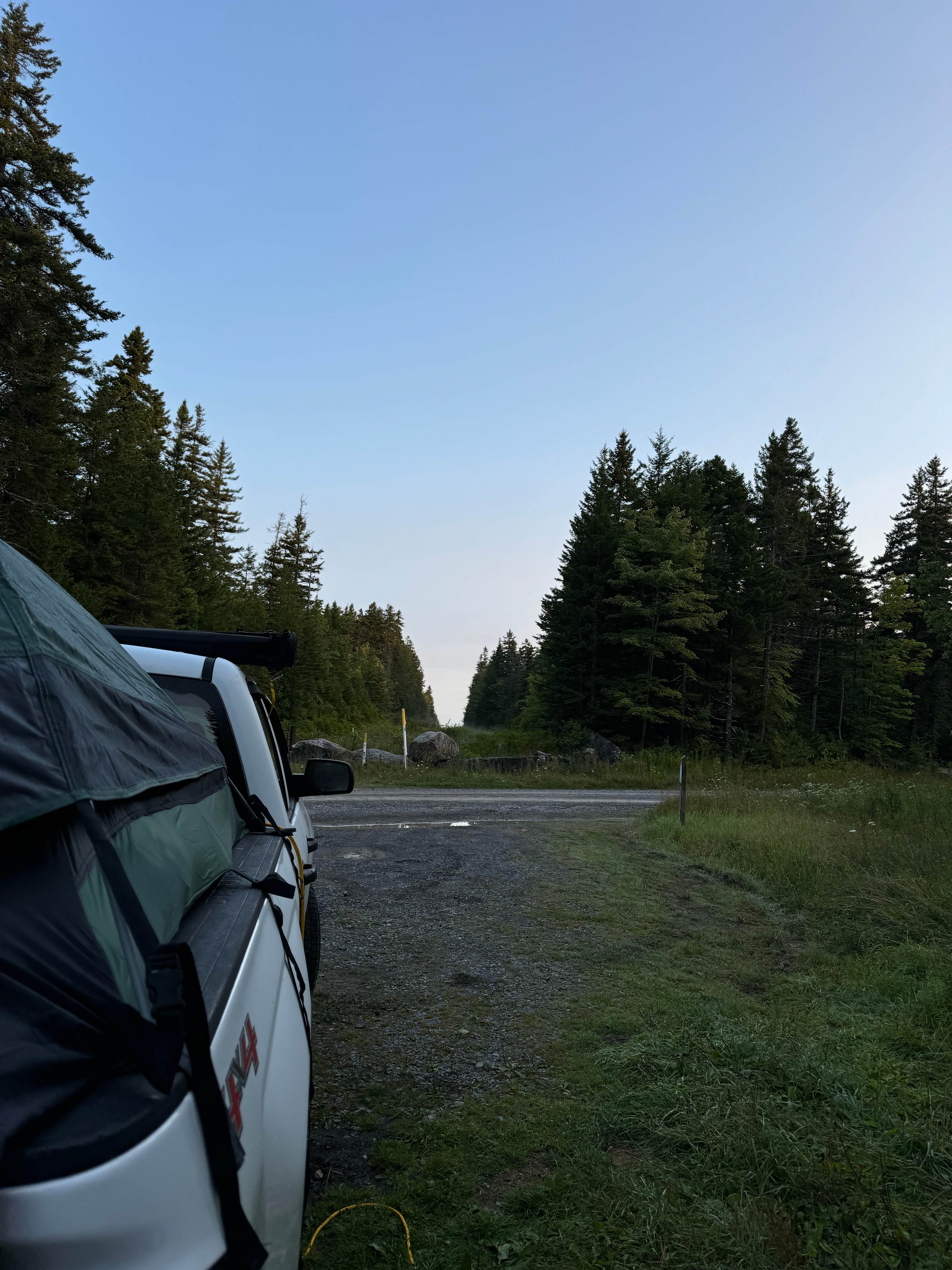 Camper-submitted photo at Canaan Loop Road Dispersed near Masontown, WV