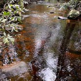 Review photo of Canaan Loop Road Dispersed by Lillian R., June 16, 2025