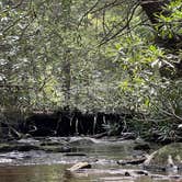 Review photo of Canaan Loop Road Dispersed by Lillian R., June 16, 2025