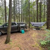 Review photo of Canaan Loop Road Dispersed by Michael H., June 24, 2024