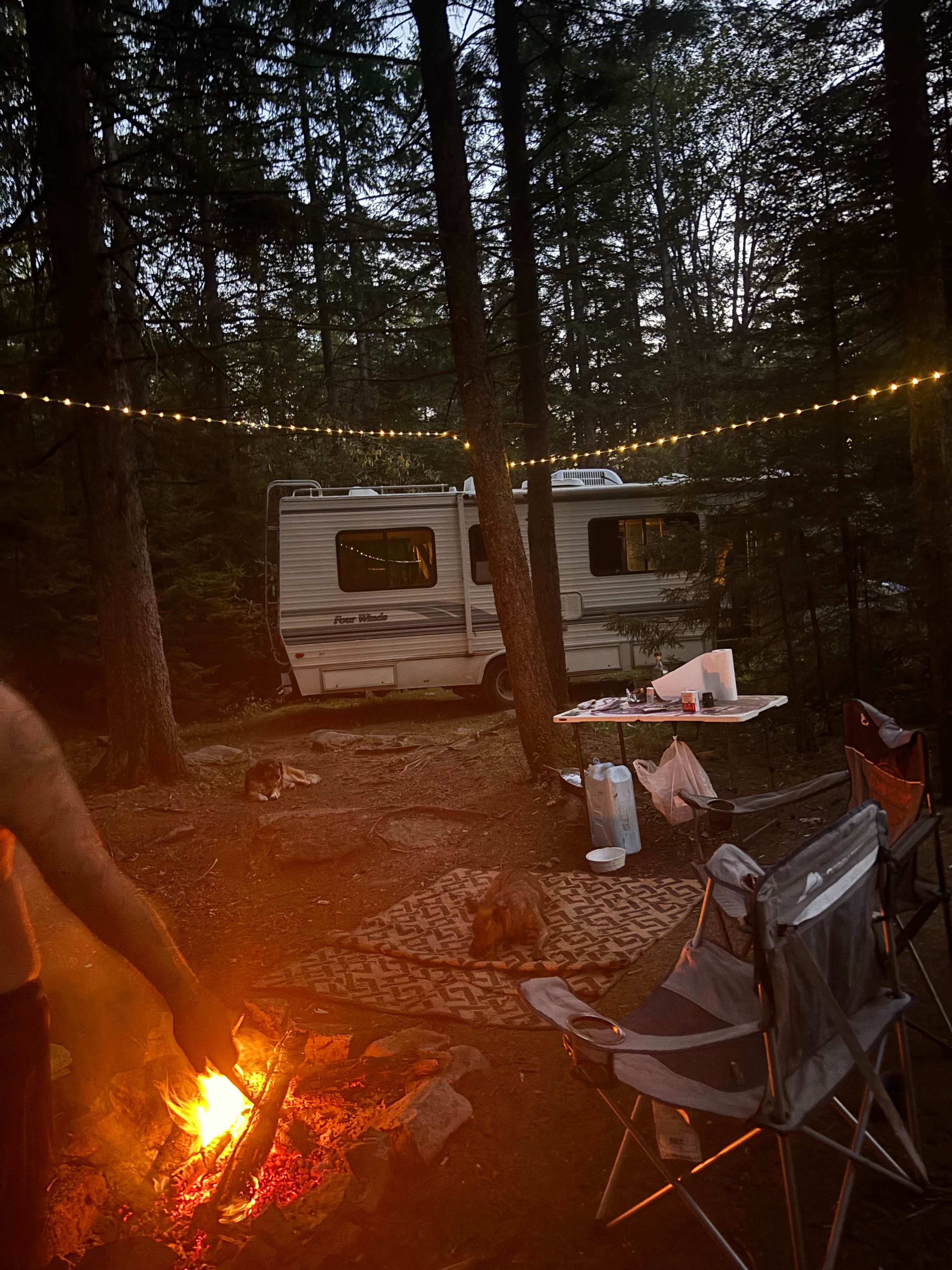 Camper-submitted photo at Canaan Loop Road Dispersed near Masontown, WV