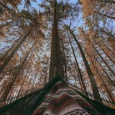 Review photo of Canaan Loop Road Dispersed by Emily T., April 7, 2026