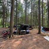 Review photo of Canaan Loop Road Dispersed by Michael H., June 24, 2024