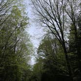 Review photo of Canaan Loop Road Dispersed by Lillian R., June 16, 2025