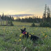 Review photo of Candy Loop Camp by Trail.Violet J., June 19, 2026