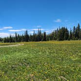 Review photo of Candy Loop Camp by Andreas P., June 7, 2026