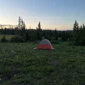 Review photo of Candy Loop Camp by Trail.Violet J., June 19, 2026