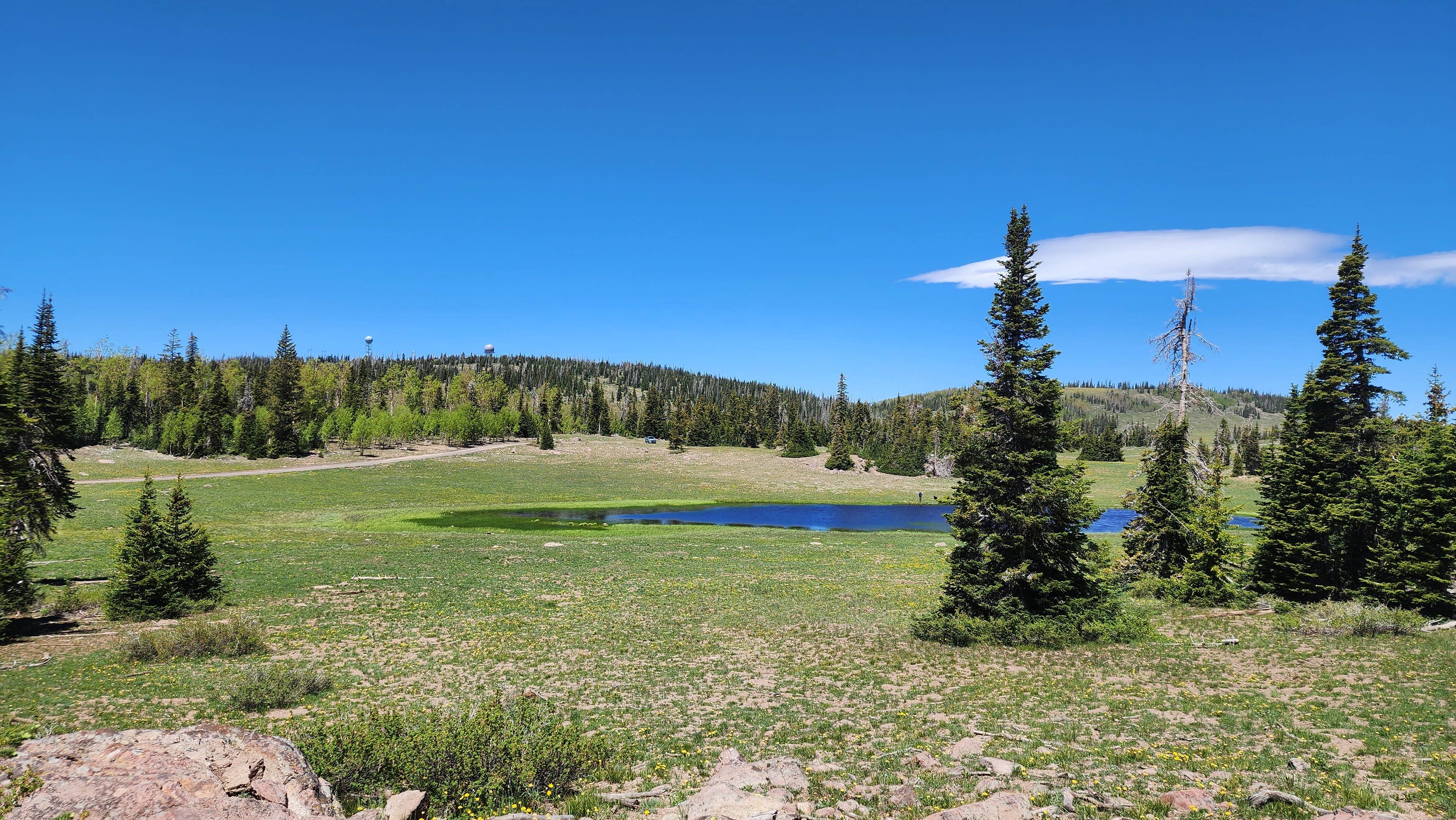 Camper-submitted photo at Candy Loop Camp near Dixie National Forest