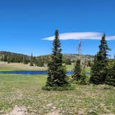 Review photo of Candy Loop Camp by Andreas P., June 7, 2026