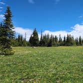Review photo of Candy Loop Camp by Andreas P., June 7, 2026