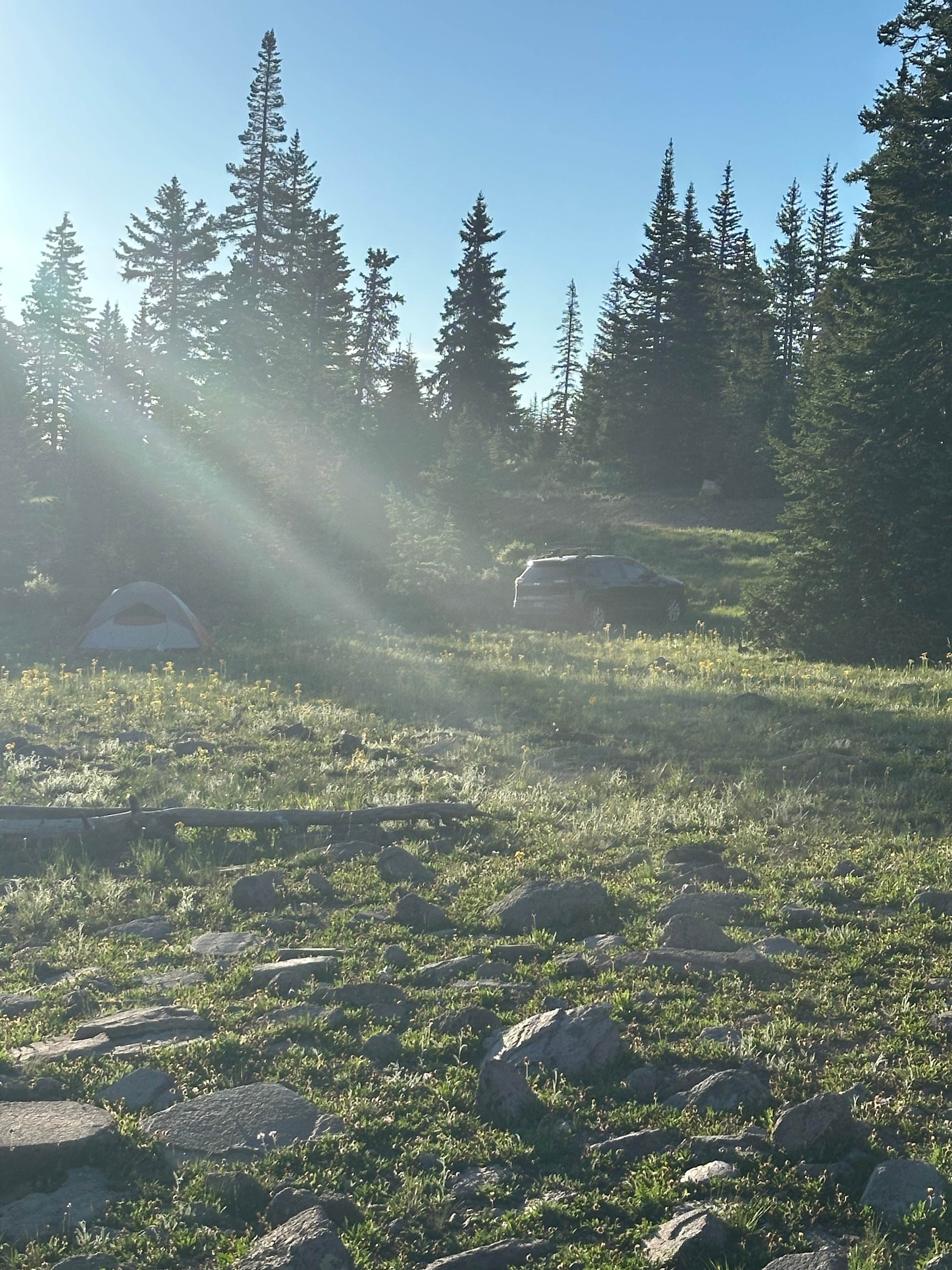Camper-submitted photo at Candy Loop Camp near Cedar City, UT