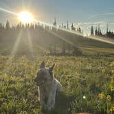 Review photo of Candy Loop Camp by Trail.Violet J., June 19, 2026