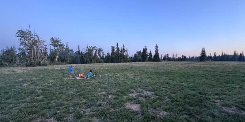 Camper submitted image from Candy Loop Camp