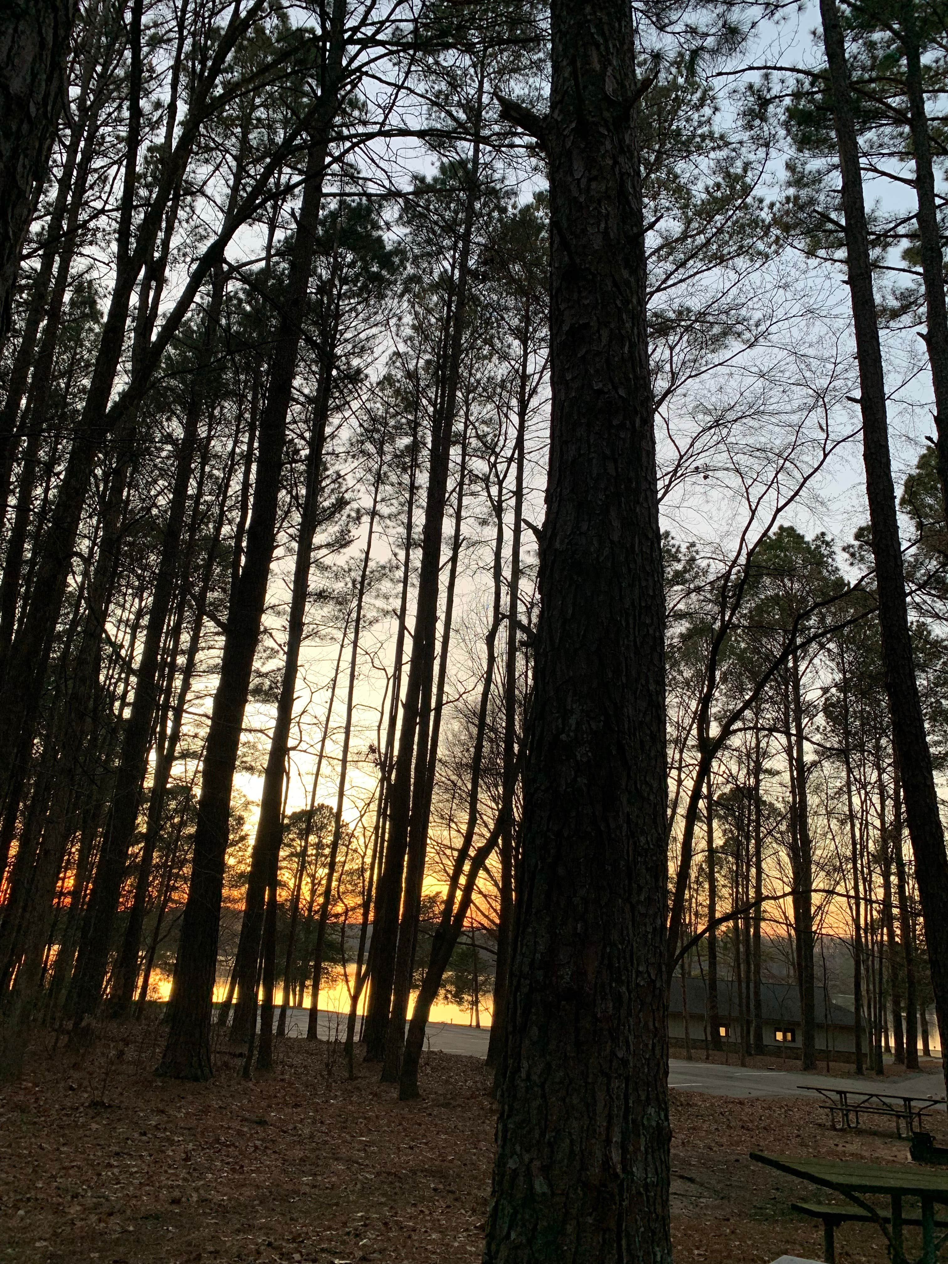 Camper-submitted photo at Cane Creek Campground and RV Park near Burlington, NC