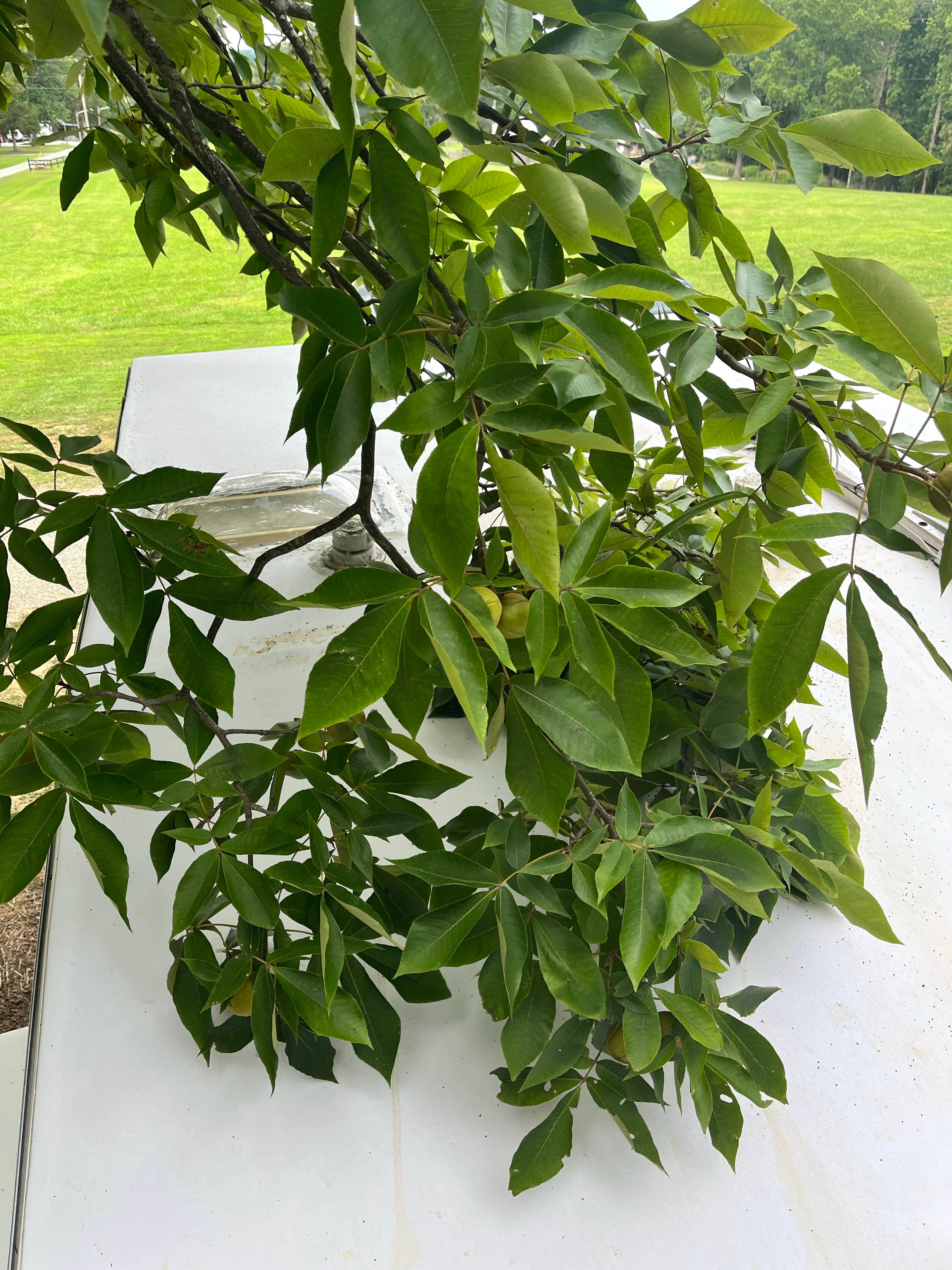 Camper-submitted photo at Cane Creek Campground and RV Park near Burlington, NC