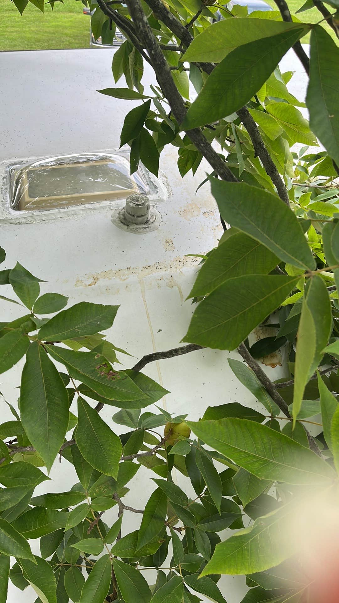 Camper-submitted photo at Cane Creek Campground and RV Park near Burlington, NC