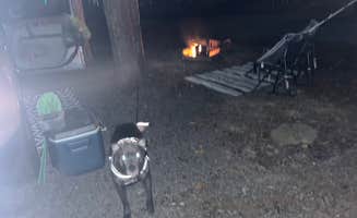 Krista H.'s photo of camping with pets at Cane Creek Campground and RV Park near Garner, NC
