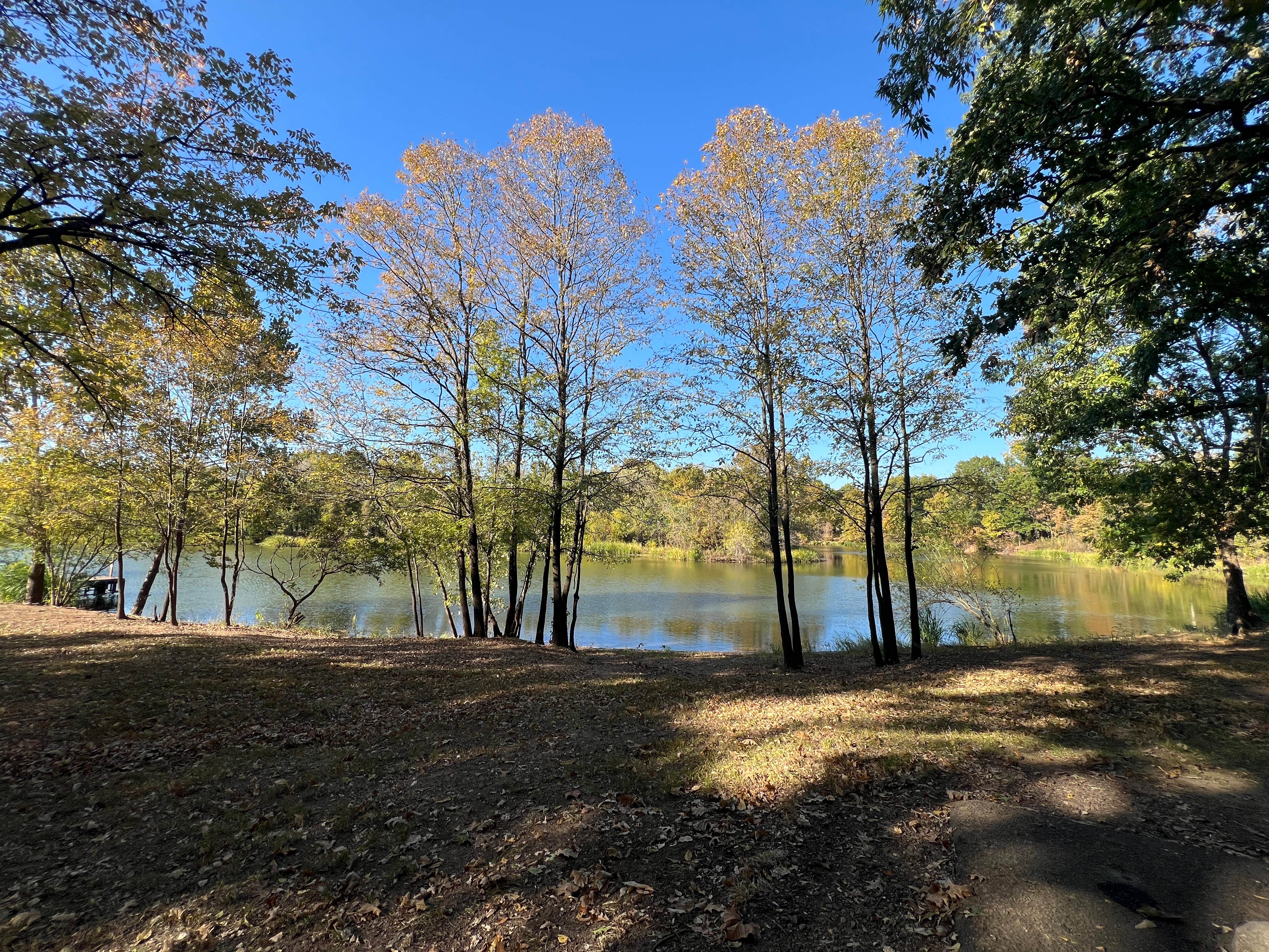 Camper submitted image from Cane Creek Recreation Area - 2