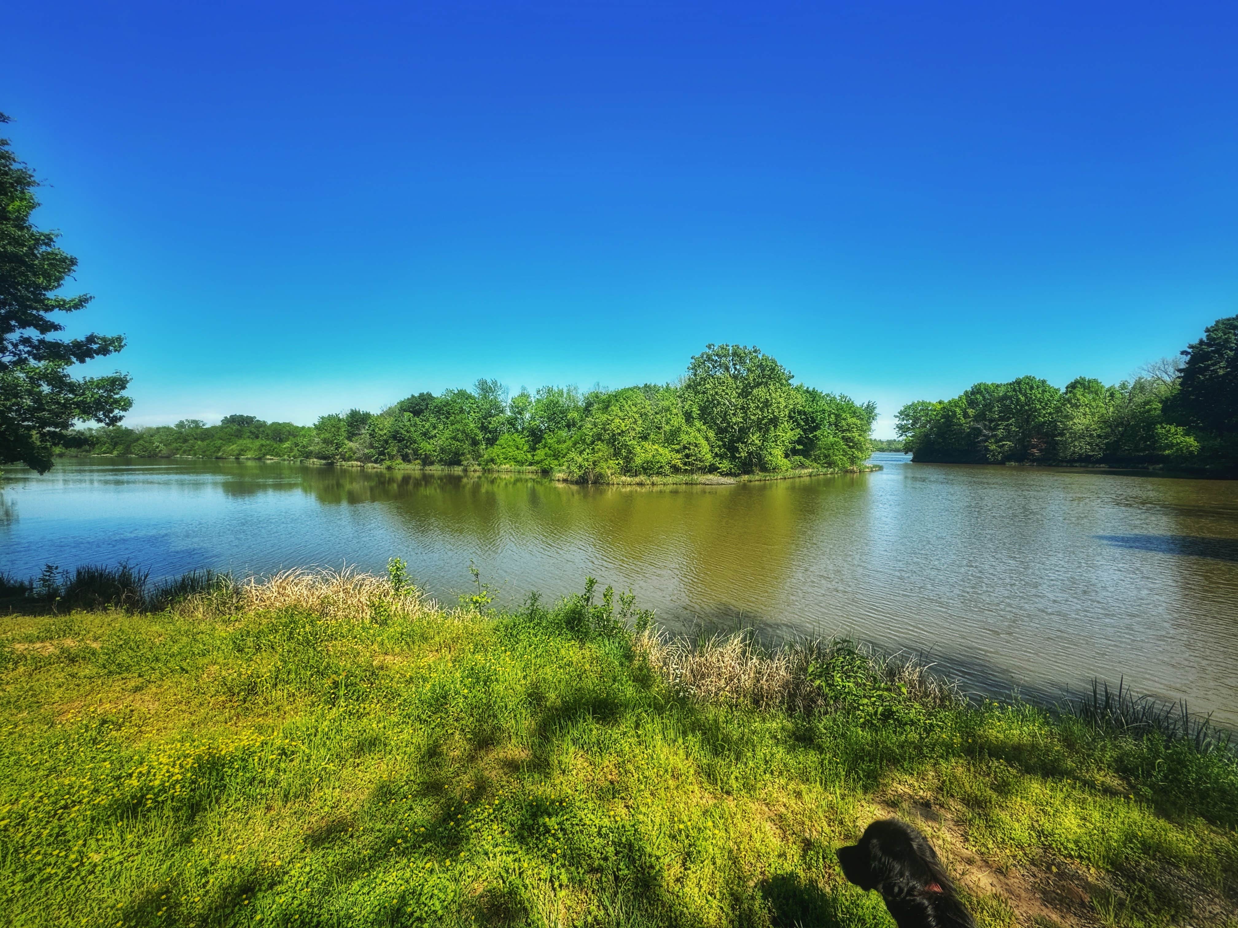 Camper submitted image from Cane Creek Recreation Area - 4