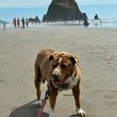 Review photo of Cannon Beach RV Resort by Jennifer G., July 5, 2025