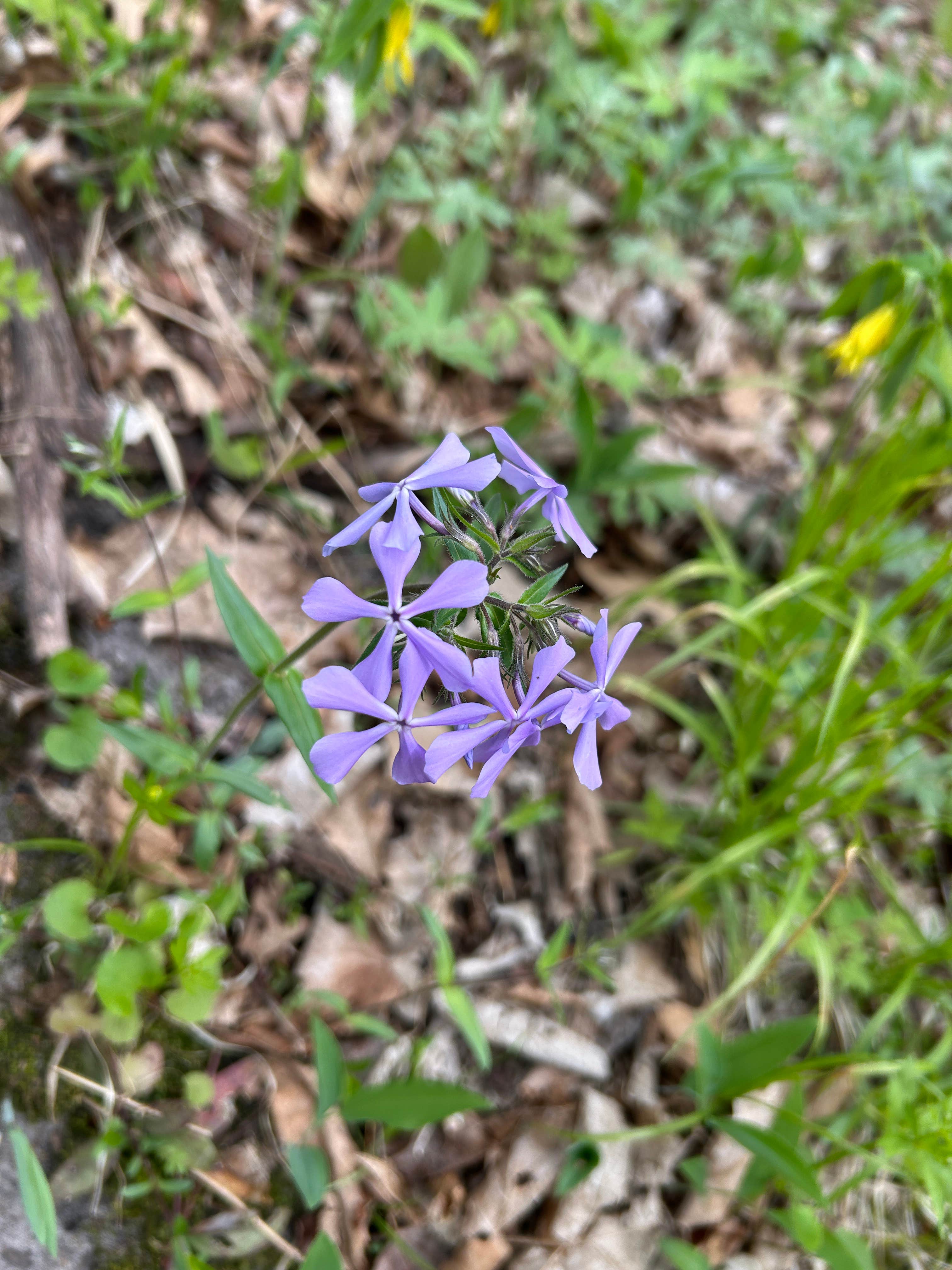 Camper-submitted photo at Cannon River Wilderness Area near Faribault, MN