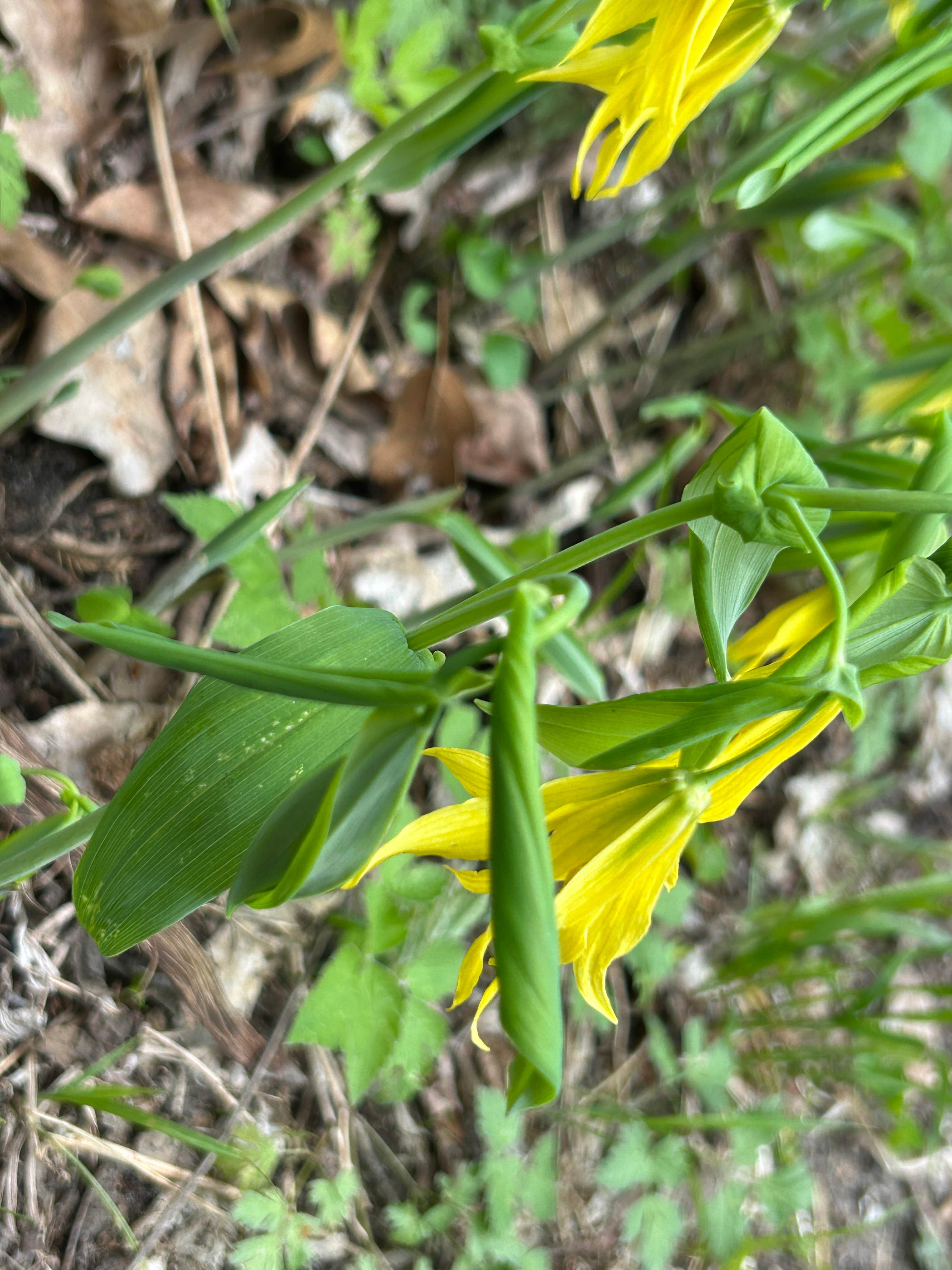 Camper-submitted photo at Cannon River Wilderness Area near Faribault, MN