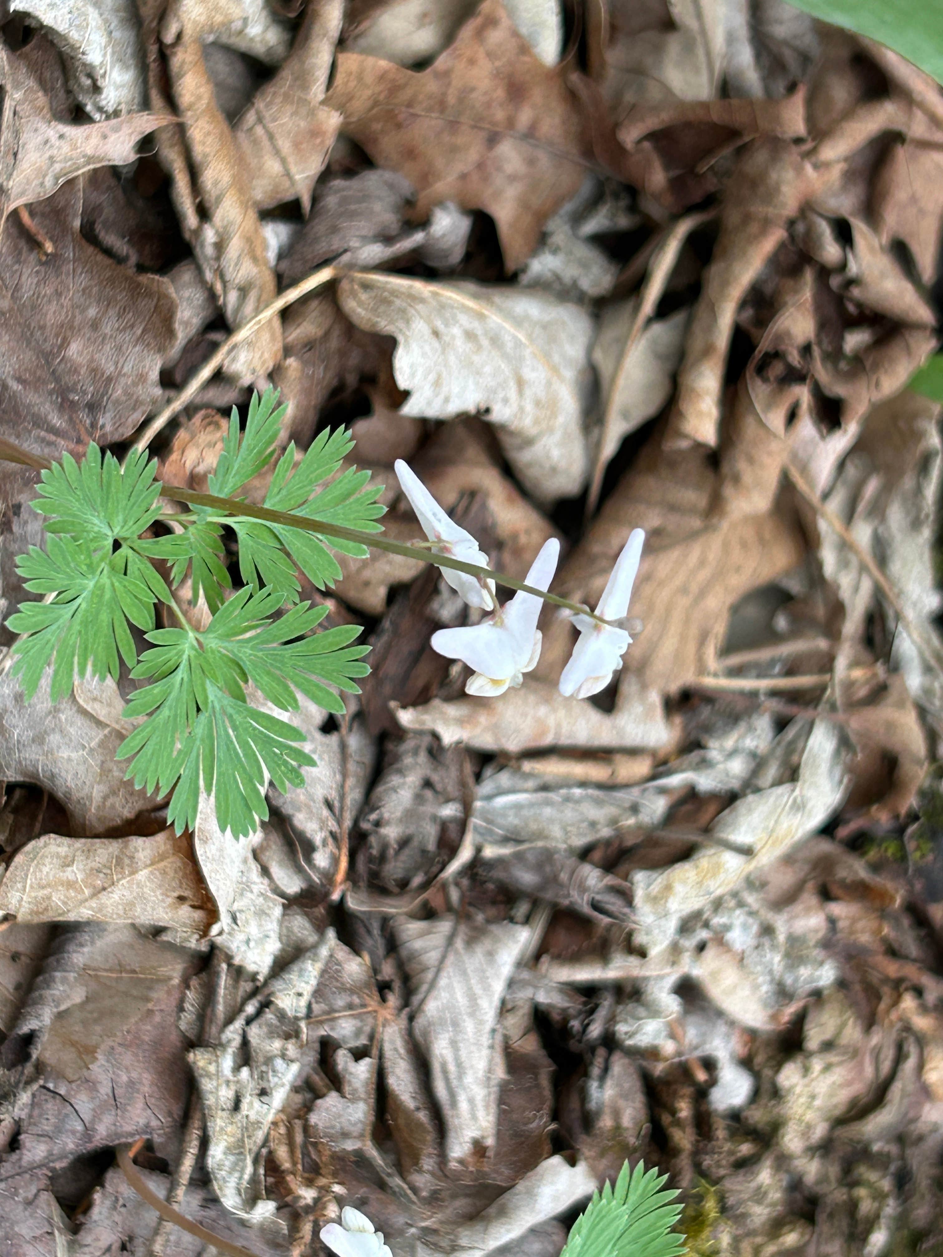 Camper-submitted photo at Cannon River Wilderness Area near Faribault, MN