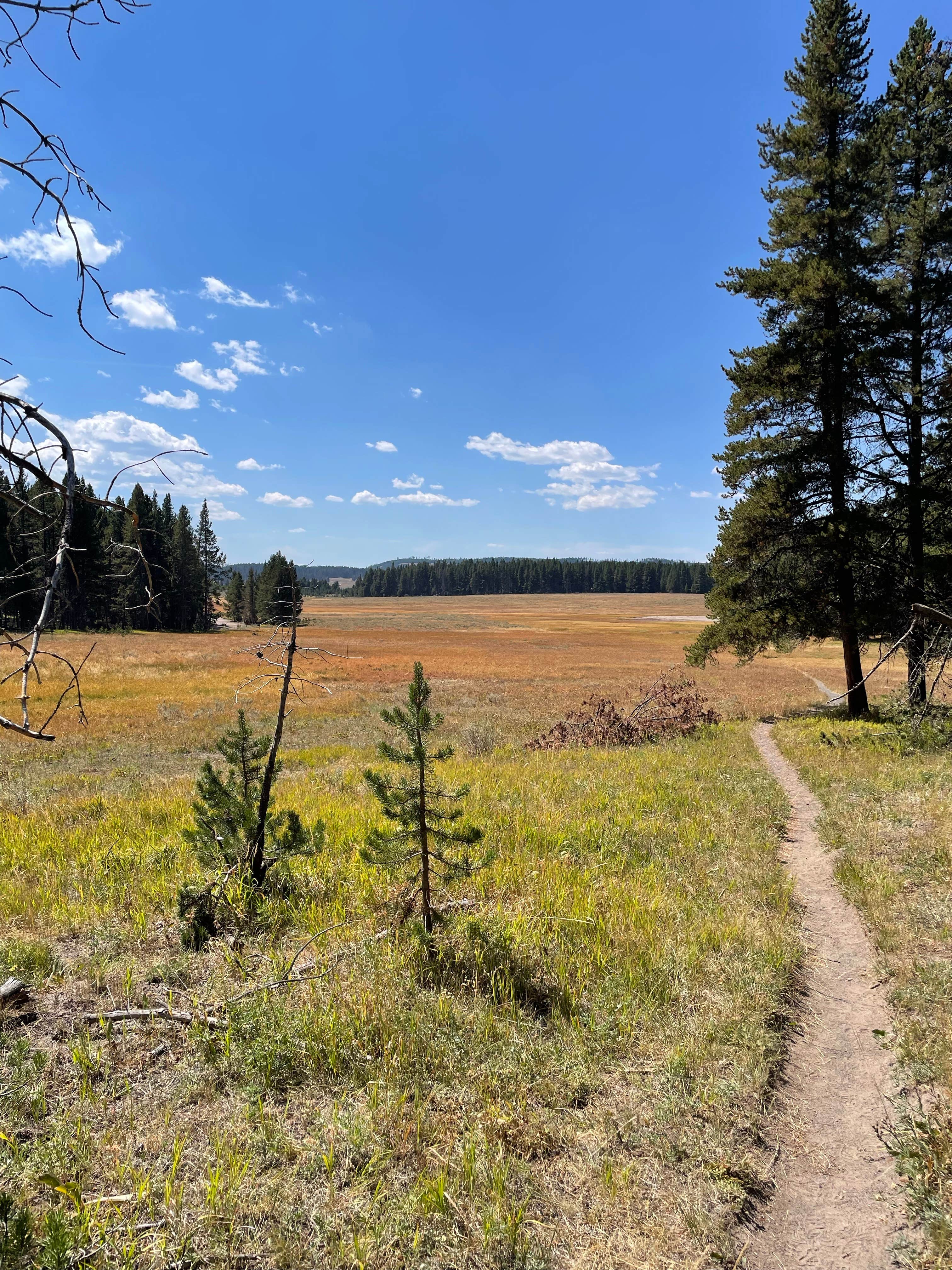 Camper submitted image from canyon campground Wyoming - 1