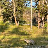 Review photo of canyon campground Wyoming by Scott D., August 27, 2025