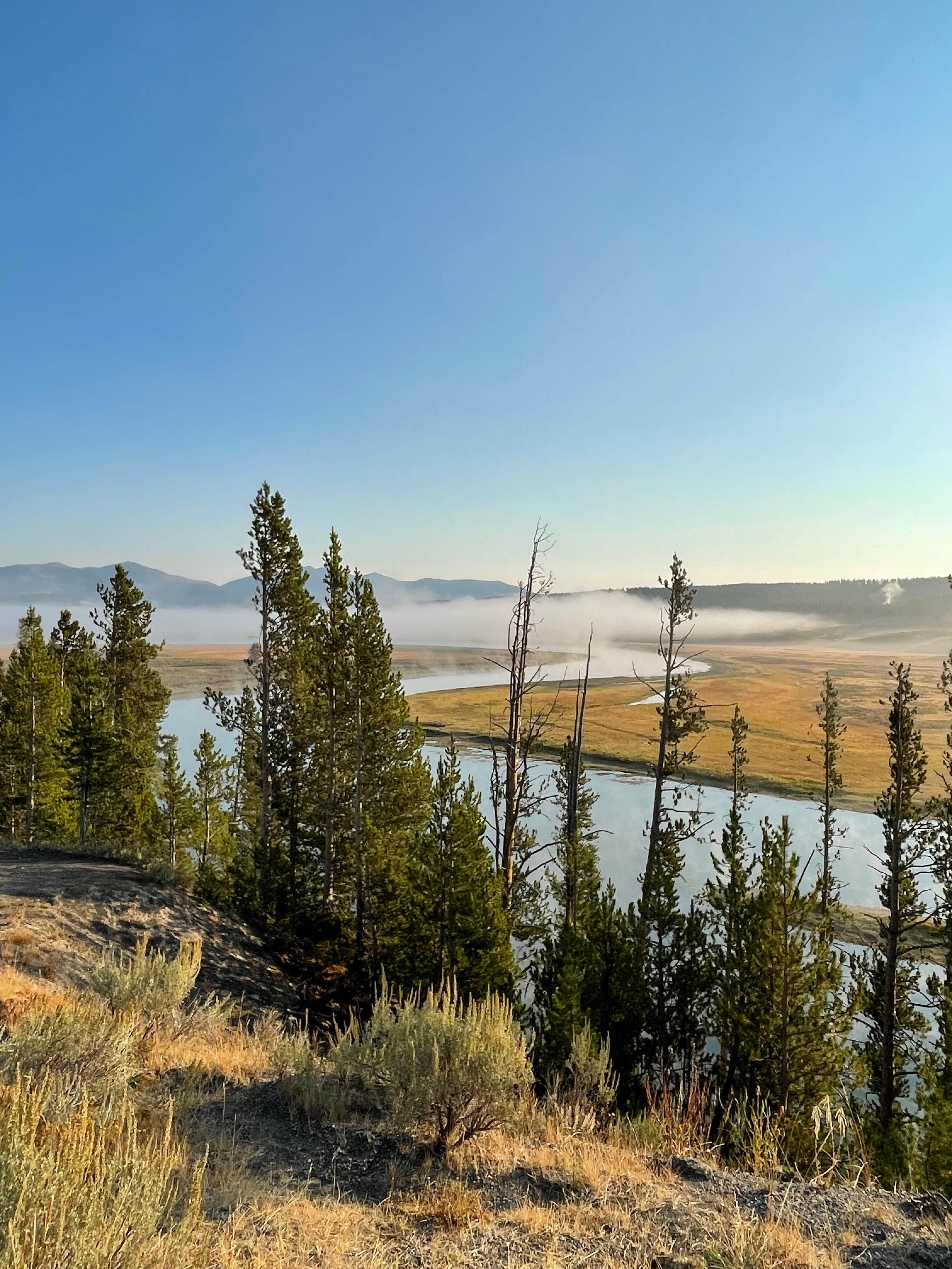 Camper submitted image from canyon campground Wyoming - 2